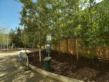Mission 17 residential rental apartments fenced pet area